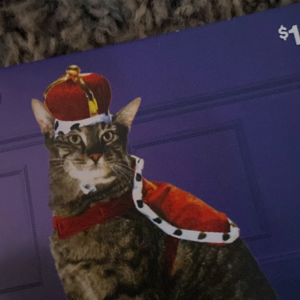 King cat costume